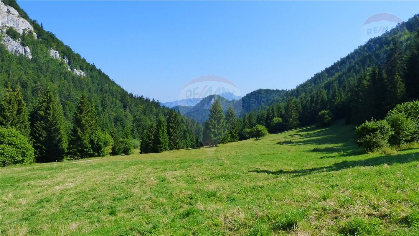 PREDAJ: pozemok pri lyžiarskom stredisku Malinô Brdo, Ružomberok