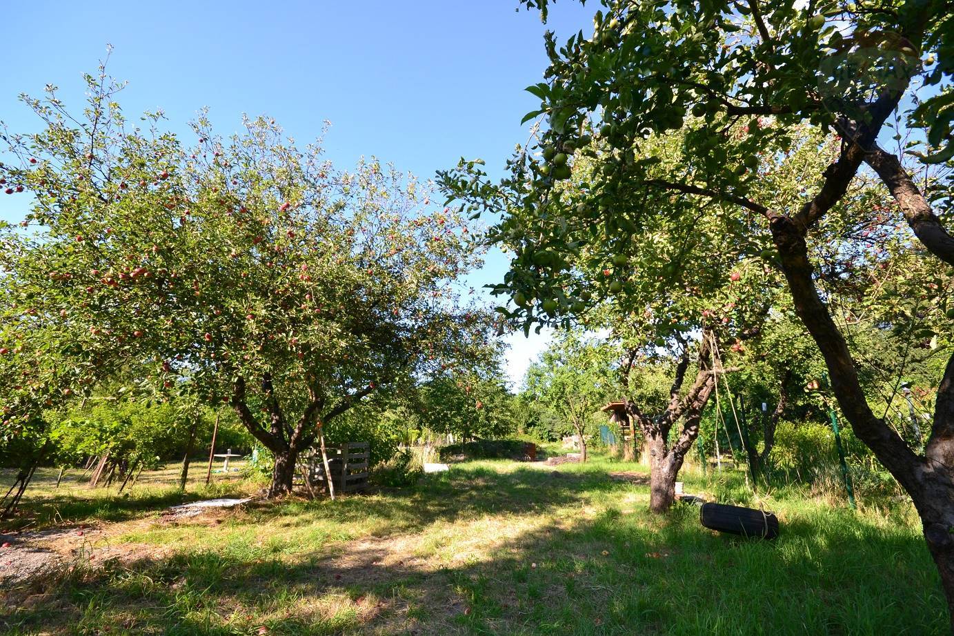 Záhrada, voda na pozemku, 928 m2, - Dúbravka blízko Kauflandu